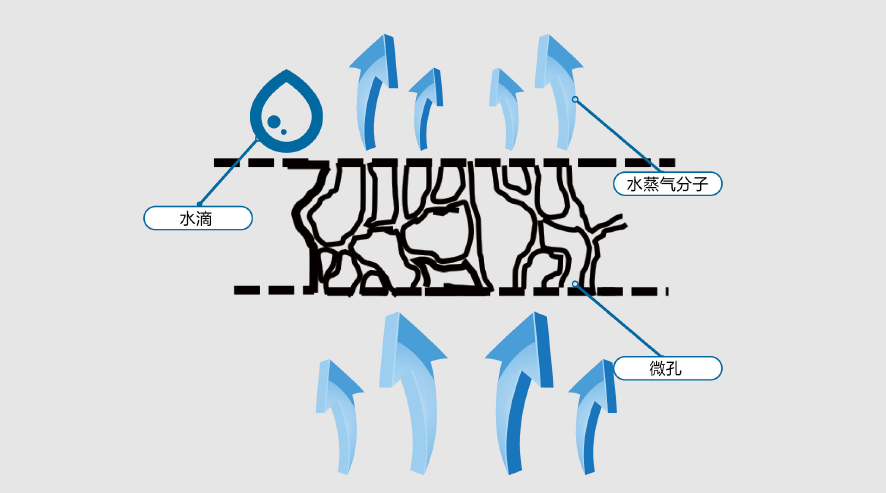 九五至尊·(中国区)有限公司官网