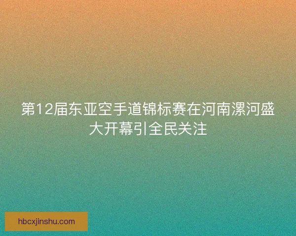 第12届东亚空手道锦标赛在河南漯河盛大开幕引全民关注