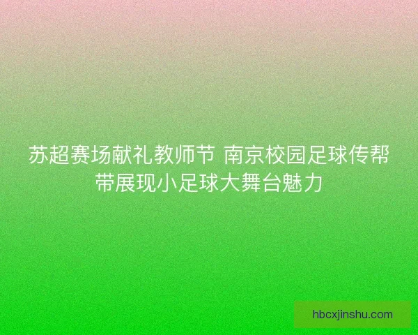 苏超赛场献礼教师节 南京校园足球传帮带展现小足球大舞台魅力